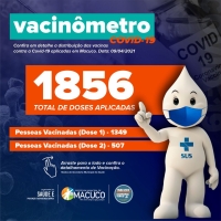 Vacinômetro - 10/04