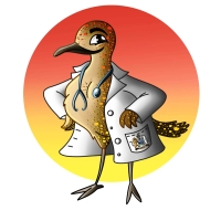 Projeto ‘Saúde em Foco’ busca nome de mascote