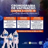 Cronograma de Vacinação 07/11