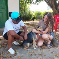 Dia D da Vacinação Antirrábica imuniza centenas de animais