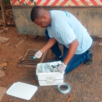 Intensificadas ações de combate a vetores em todos os bairros