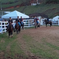 Copa de Marcha do Cavalo Mangalarga brilha na Expo-Macuco