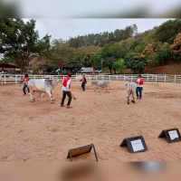 Julgamentos Tabapuã movimentam a Expo-Macuco
