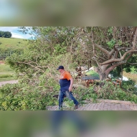 Defesa Civil atende bairro da Glória com poda de árvores