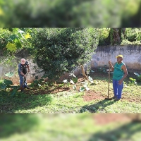 Reativação da horta e manutenção do CIEP Honório Peçanha