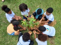 Raízes de um futuro que começa a brotar hoje...